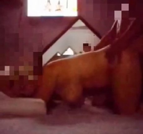 Rainhabruna pornstar sex photo