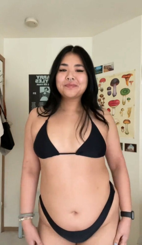 chloroblasts model top image