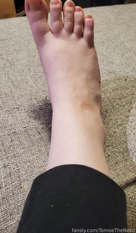 TomoeTheNeko erotic star archive