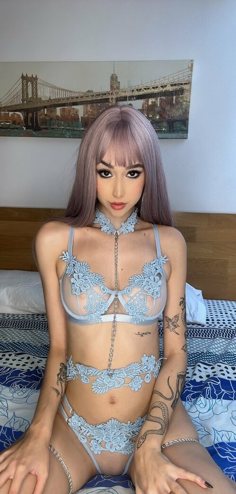 mileywhite star free photo