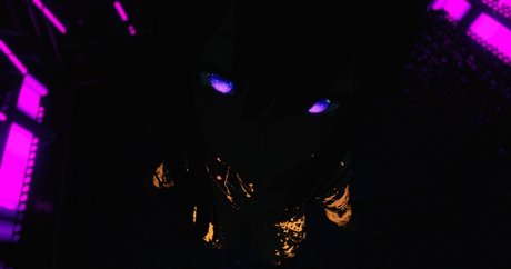 PurpleFox8 star pretty photos