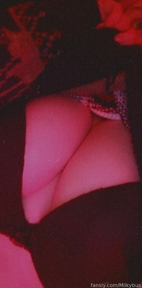 Milkybus best model pictures