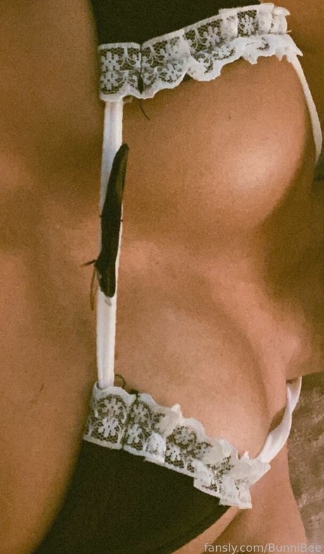 BunniBee nice model archive