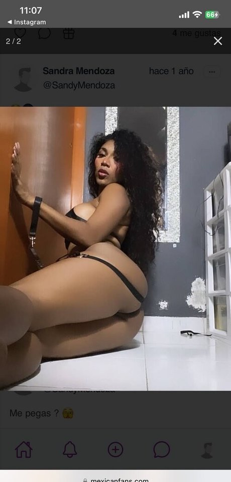 Sandy Mendoza star perfect images