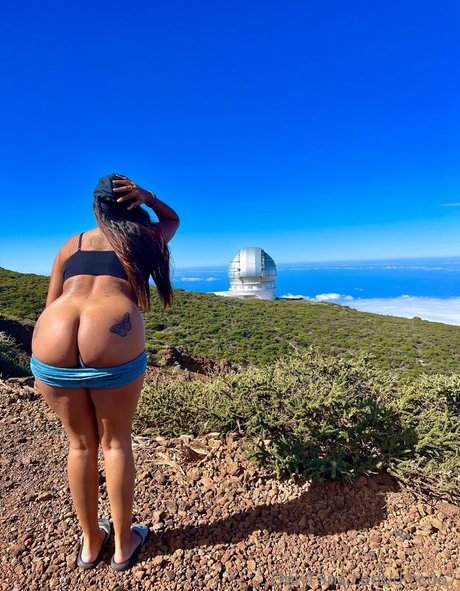 d ccdo7 top model img