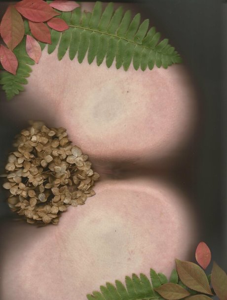 bb apathy beautiful model images