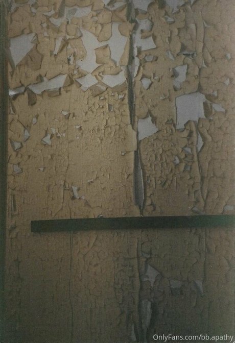 bb apathy star nude galleries