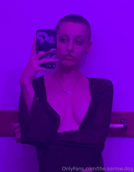 the sorrow dog exclusive star image