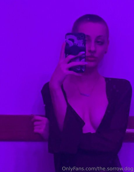 the sorrow dog model top archive