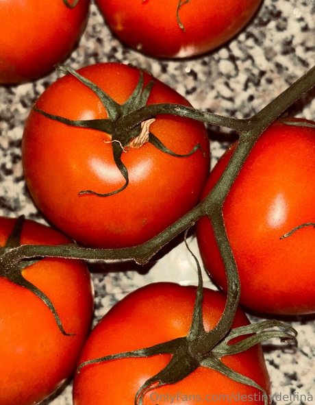 destinydelfina nudes model image