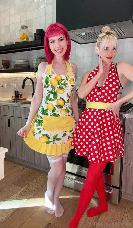 thehaydnporter star art archive