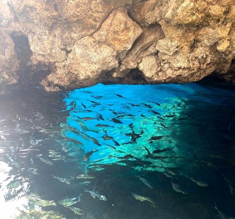 Monica Gonzalez model pretty picture