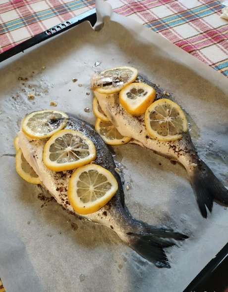 kellyfairy high quality model pic