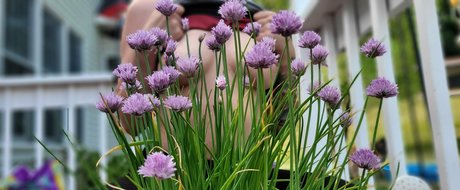 darkreifree best star image