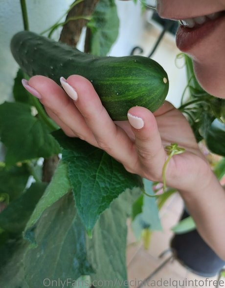 vecinitadelquintofree hot star photos