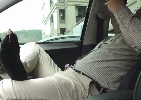 wild boar giant hot pornstar photos