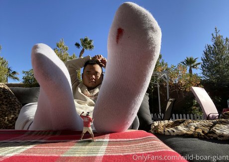 wild boar giant pornstar nudes picture