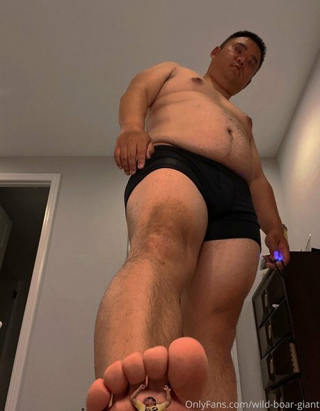 wild boar giant top pornstar img