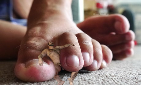 wild boar giant art pornstar img