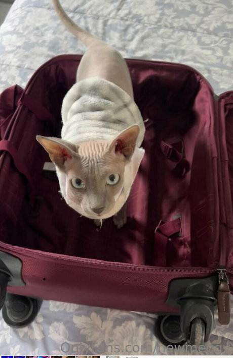 newmeggy star hot pics