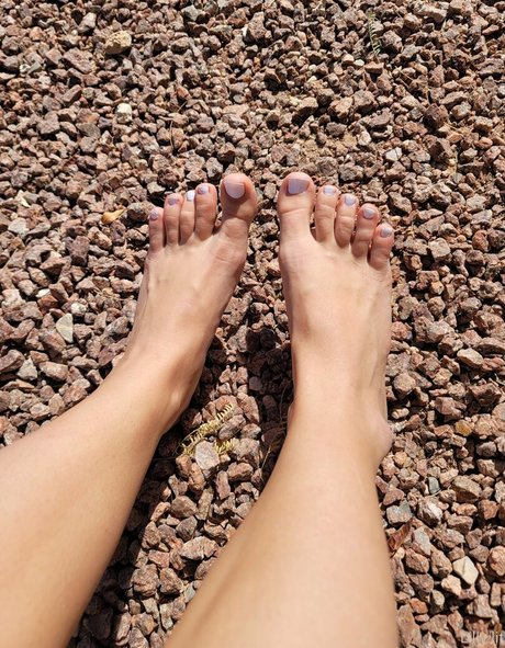 Lilly Lit sex actress img