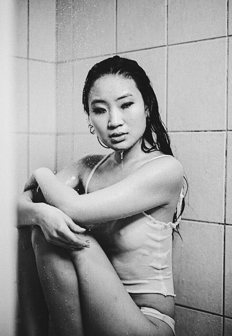 Official Anaiis model img