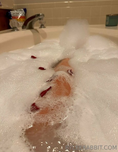 ryleerabbit sex actress archive