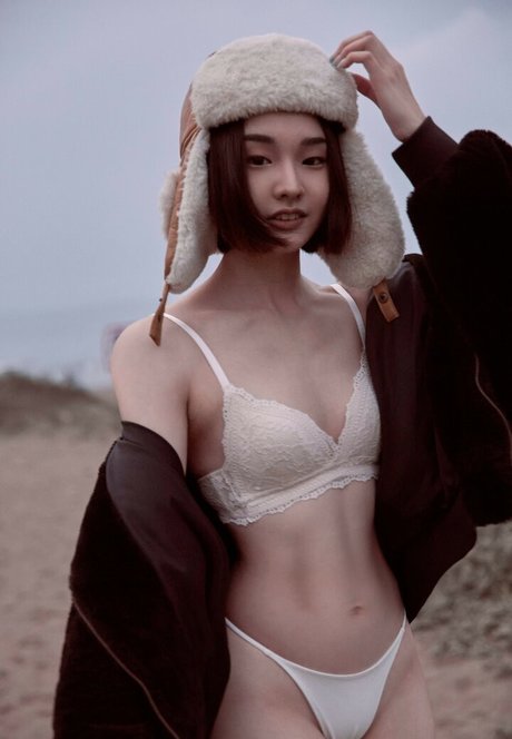 ruan ccc model top img