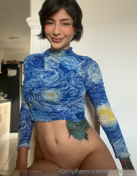 sofiakiut nice star galleries