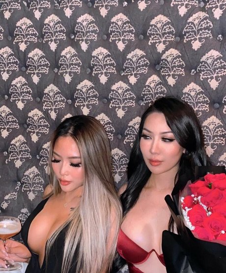 Natttdd perfect model archive