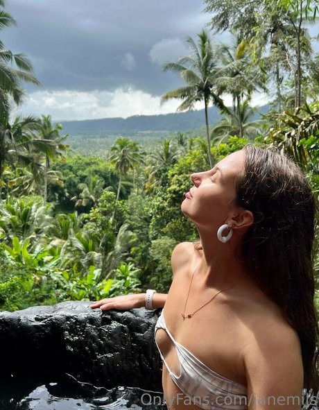 anapuru nice star galleries