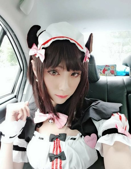 Kamiki star free photos