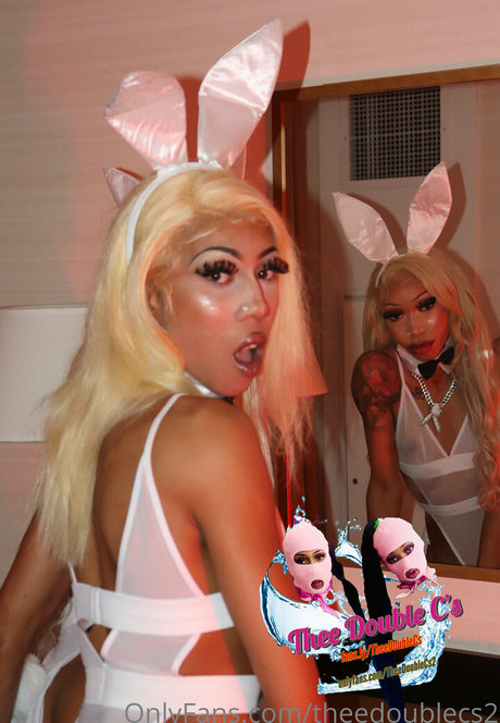 theedoublecs2 model images