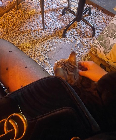 ryydachan star adult galleries