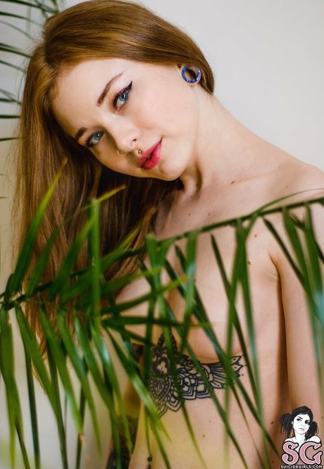 Karnelia xxx star pictures