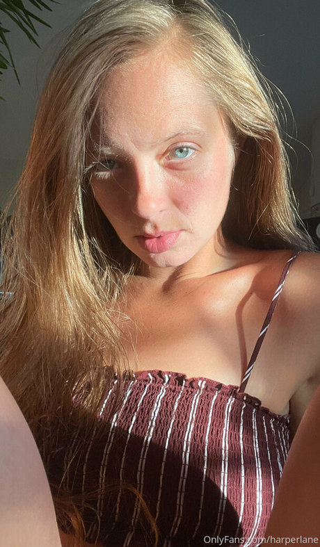 harperlane perfect model picture