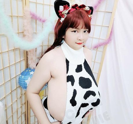 alice 65 star free archive