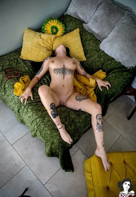 Swampxcricket hd pornstar galleries