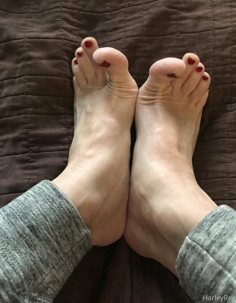 harleyrey pornstar adult archive