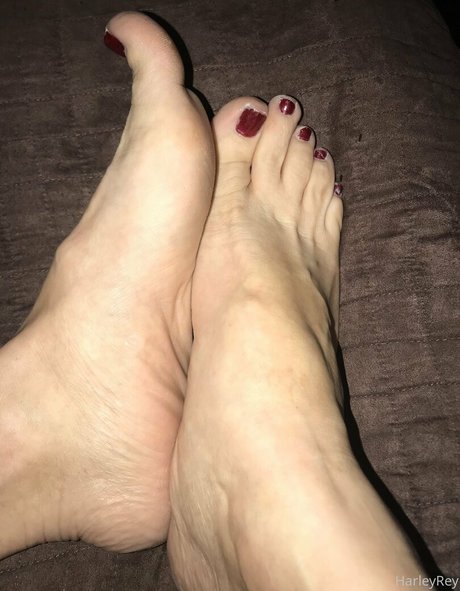 harleyrey model beautiful picture