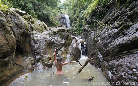 Barbierican top model gallery