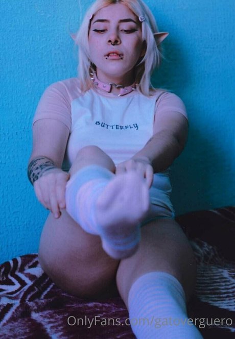 gatoverguero model top pic