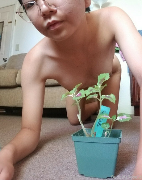 buddingroselia pornstar beautiful image