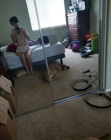 buddingroselia art star pictures