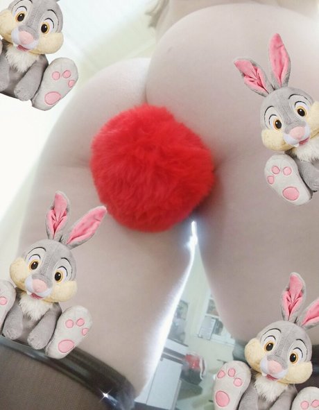 imanna nice pornstar gallery