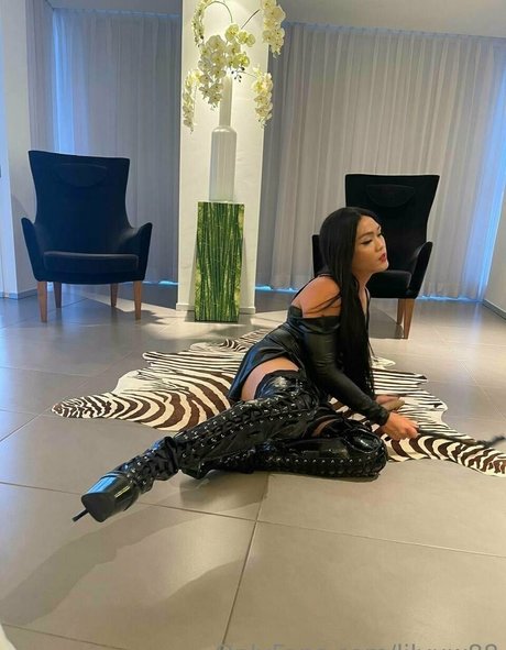 lilyuw88 star beautiful images