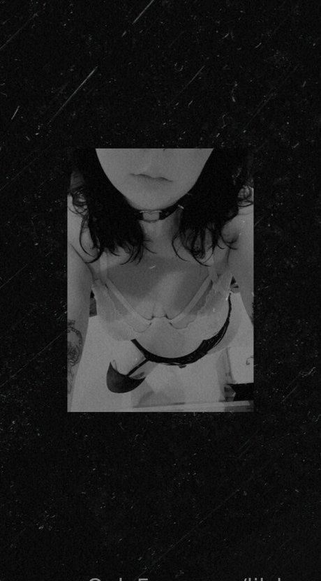 lilshag star free photo