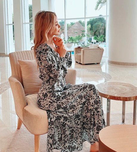 Wengie model top images