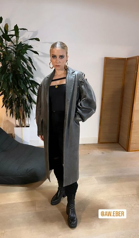 Julia Hardy pornstar art photo