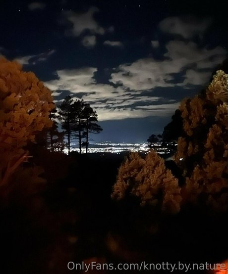 knotty by nature model hd pic